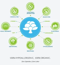 Cottonique Latex Free Organic Cotton Low Rise Panty - 2 Pack W22205 -Freya Fashion Shop cottonique cot01 w22205 cs3