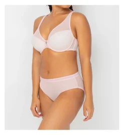 Curvy Couture Sheer Mesh High Cut Brief Panty 1313 -Freya Fashion Shop curvy couture cuco01 1313 cs5