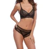Dreamgirl Sheer Stripe Bra And Panty Set 11863 -Freya Fashion Shop dreamgirl dg001 11863 gs