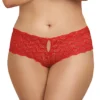 Dreamgirl Plus Size Open Crotch Heart Back Panty 1442X -Freya Fashion Shop dreamgirl dg001 1442x gs
