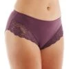 Elila Microfiber & Stretch Lace Panties 3309