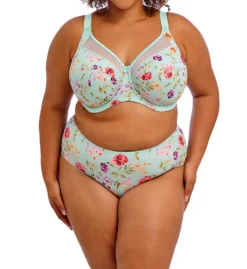 Goddess Kayla Brief Panty GD6168 -Freya Fashion Shop goddess god01 gd6168 cs5