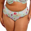 Goddess Kayla Brief Panty GD6168 -Freya Fashion Shop goddess god01 gd6168 gs