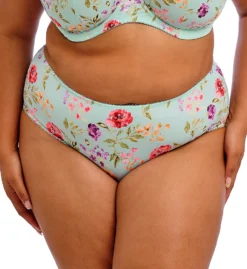 Goddess Kayla Brief Panty GD6168