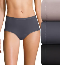 Hanes Comfort Period Light Brief Panty - 3 Pack 40FDL3 -Freya Fashion Shop hanes hane01 40fdl3 cs5