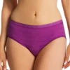Hanes Ultimate ComfortFlex Fit Bikini Panty - 4 Pack 42CFF4 -Freya Fashion Shop hanes hane01 42cff4 gs