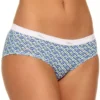 Hanes Cotton Hipster Panties - 3 Pack D41L -Freya Fashion Shop hanes hane01 d41l gs