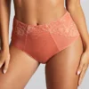 Panache Envy Deep Brief Panty 7283 -Freya Fashion Shop panache pana01 7283 gs
