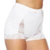 Rhonda Shear Pin Up Girl Lace Control Panty 3867B